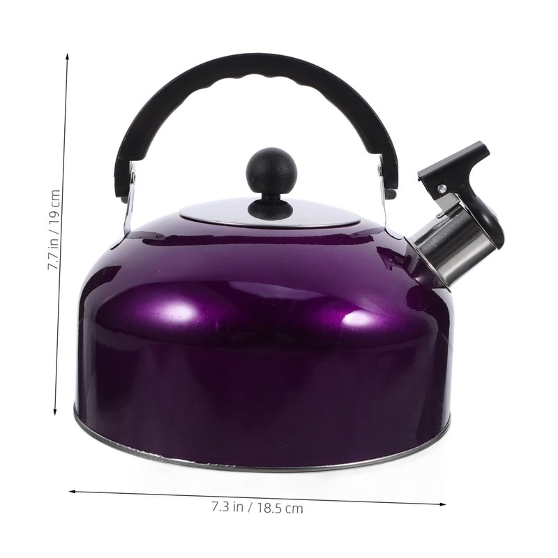 Gatuida Whistling Kettle Stainless Steel Spherical Boiling Pot for Kitchen