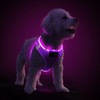 PcEoTllar Light Up Dog Harness, LED Dog Harness for Puppy
