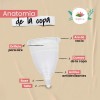 Copa Mestrual Angelcup Lila Grande De Silicona Certificada