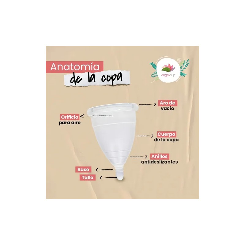 Copa Mestrual Angelcup Lila Grande De Silicona Certificada