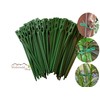 varivendo Plant Clip Set, Plant Clips / Plant Ties (Set