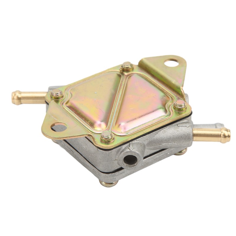 Engine Fuel Pump ATV UTV Fuel Transfer Pump 2521135 Replacement