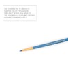 F.A.R.A.H Brushes Professional Precision Eyeliner Makeup Brush 05E (Blue)