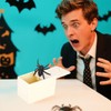 Spider in Box, 1 Piece, Spider Prank Box, Wooden Prank