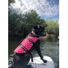 GabeFish Dog Life Jacket Vest Safety Clothes Collar Harness Saver