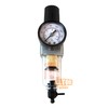 1/4" NPT Mini Compressed Air In Line Filter Regulator Combo
