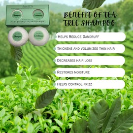 Tea Tree Shampoo & Conditioner Bars Set - Infused with Biotin, Argan Oil, Shea Butter, Citric Acid | Premium Hair Care for All Hair Types | Revitalizing & Nourishing
