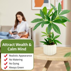 WOHSEROM Small Money Tree Bonsai 15.2inch Artificial Desk Plant in White Ceramic Pot, Realistic Indoor Faux Potted Pachira Money Plant for Home Office Living Room Decor(Maintenance Free)