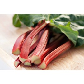 NIKA SEEDS - Seeds Vegetable Rhubarb - 25 Seeds