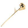 24K Gold Plated Rose Clear Texture Romantic Exquisite Long Lasting