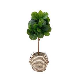 Nearly Natural 3.5ft. Artificial Fiddle Leaf Fig Tree with Handmade Cotton & Jute Basket with Tassels DIY KIT