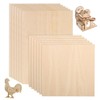 Wooden Panels for Crafts, Pack of 12, Plywood Board, 1.5