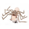 bogbago Disfraz de araña para Perro, Divertido Disfraz para Perro