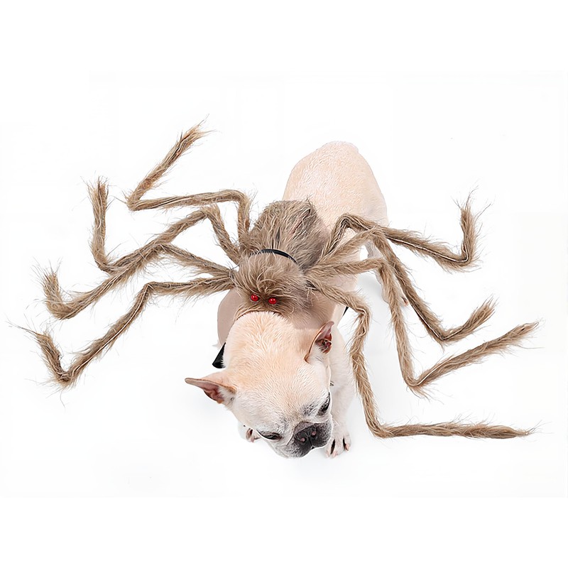 bogbago Disfraz de araña para Perro, Divertido Disfraz para Perro