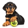The Dog's Balls, Dog Tennis Balls, Quality Dog Toys, Premium