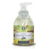 Nature's Oil Foaming Hand Soap, Cucumber Melon, 10 Fluid Ounces