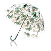 Chesoon Clear Dome Stick Umbrella Auto Open Transparent Bubble Surface
