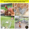Chicken Wire 48 in x 100 FT x 2” Mesh
