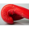 Paffen Sport KIBO Fight Genuine Leather Boxing and Martial Arts