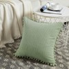 Fancy Homi Pack of 2 Sage Green Decorative Throw Pillow