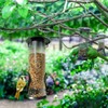 Guador Bird Feeder 4 Pieces Grains Feeding Column Grains Bird