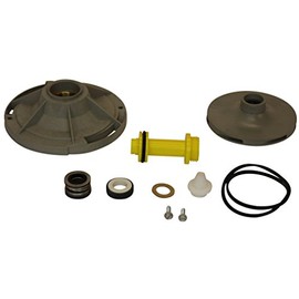 Wayne 64043-WYN1 Pump Certified Service Part, Black