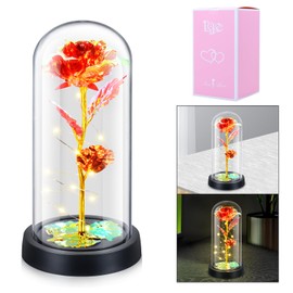 Oziral Crafttime Glass Rose Flower, Birthday and Holiday Gifts for Women, Led Lamp Artificial Eternal Crystal Rose Romantic Nightlight, Valentine's Day, Christmas, Anniversary, Mother's Day (Red)