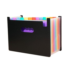 LIMEQKI Document Folder A4 13 Compartments Document Bag A4 with Colourful, Partitions Folder Folder Expanding Folder Binder Organiser Document Organiser (Black)