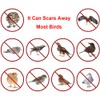 SUJAYU Bird Scare Tape, 2 Pack 1''x260FT Double Sided Repellent