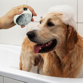 BEE&FLOWER Dog Cat Bath Brush for Long Haired Dogs Cats, Shower Comb Dog Shampoo Brushes for Grooming, Pet Bath Massage Brush Cat Massager Dog Rubber Brushes for Shedding Short Hair