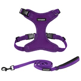 Best Pet Supplies Voyager Step-in Lock Dog Harness and Reflective Dog Leash Combo Set with Neoprene Handle 5ft Long - Supports Small, Medium and Large Breed Puppies/Cats - Purple (w Leash),XL