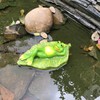 Ruerlity Floating Frog on Leaf for Garden Pond Decor Swimming