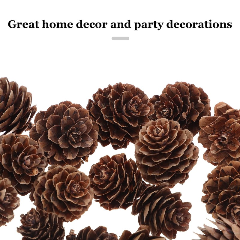 GRIRIW 100pcs Pine Cones Decorations - Natural Pine Cones Bulk