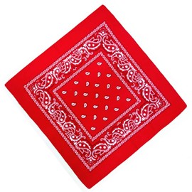 Unknown Biker Motorbike Bandana Head Scarf in Cloth Various Paisley Pattern Colours -