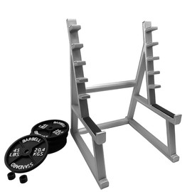 Hsthe Sea Squat Rack Pen Holder, Practical Barbell Rack Pen Holder, Holder Multi-Functional Pen Holder, Creative Pen Holder Desk Organizer with barbells and weights