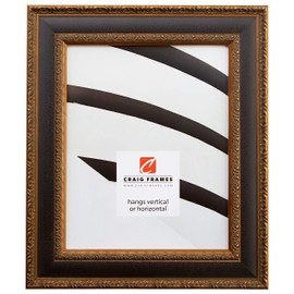 Craig Frames Galerie N, 24x36 Picture Frame, Black & Gold