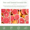 PHATOIL Grapefruit 100ml Essential Oil Essential Oil Aroma Oil Gift