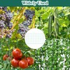 Trellis Net, 1.8 x 3.6 m Plant Net, Cucumber Net,