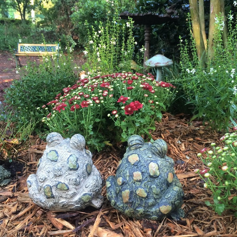 SUNGUARD Whimsical Toad Hollow Tall Stretch Medium Combo Pack Garden