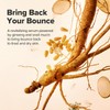 Revive Serum : Ginseng + Snail Mucin