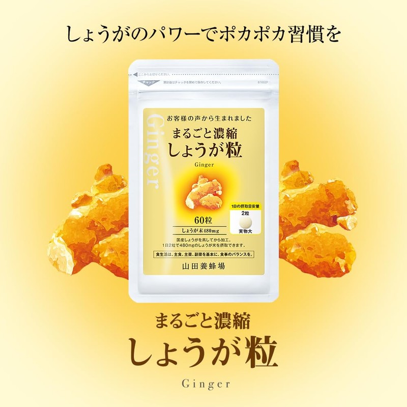 山田養蜂場 まるごと濃縮しょうが粒 60粒袋入 しょうが