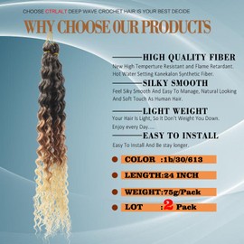 CTRLALT Curly Braiding hair Ocean Wave Crochet Hair Extensions for Bohemian Goddess Box Braids Goddess Soft Faux Locs Crochet Hair(24inch, 2pack, 1b/30/613)…