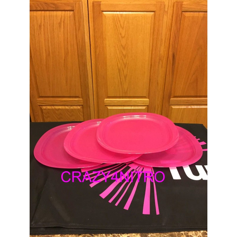 TUPPERWARE NEW LARGE MICROWAVE SAFE LUNCHEON PLATES BPA FREE SHIP