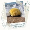 Natürlicher mediterraner Schwamm für den Körper, nicht synthetisch (16-18 cm