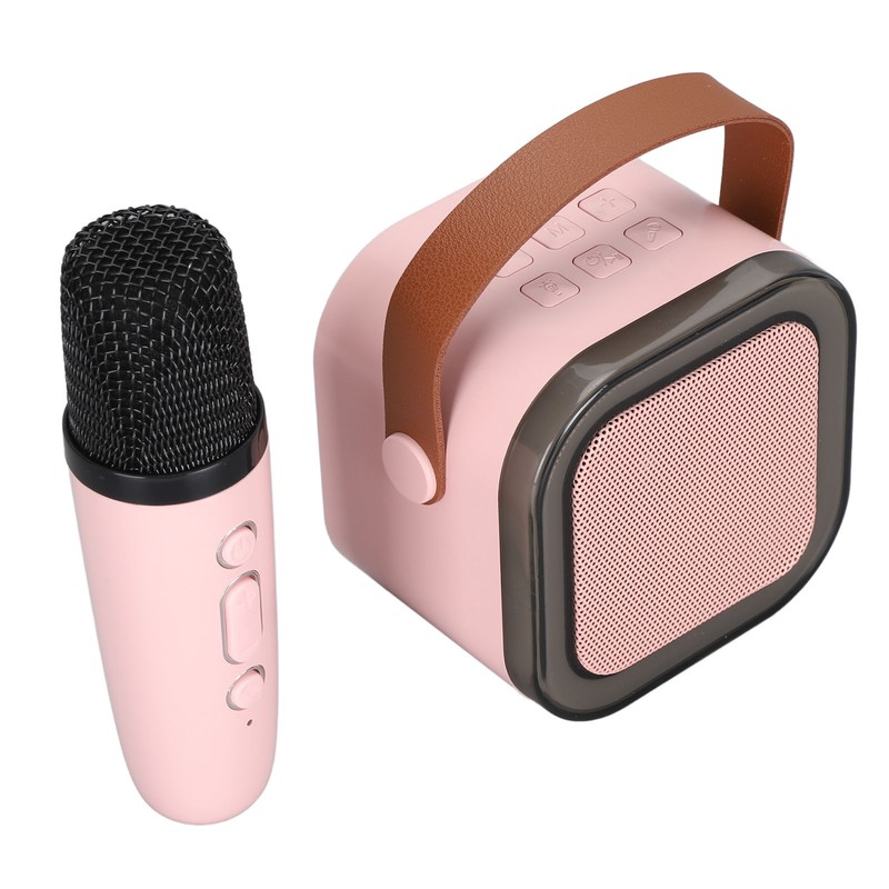 Portable Karaoke Machine LED Dynamic Light Small Bluetooth Speaker with