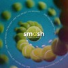 Pelotas Padel Pro Smash Pack 3 Alta Competencia Rebote Constante