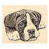 P126 Boxer Puppy Dog Rubber Stamp