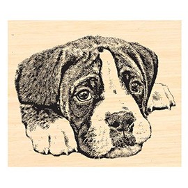 P126 Boxer Puppy Dog Rubber Stamp