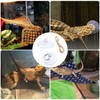 Knana 6pcs Suction Cups for Reptile Terrarium - Reptile Replacement