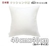 iFabric Nude Cushion, Square Shape, 15.7 inches (40 cm), For